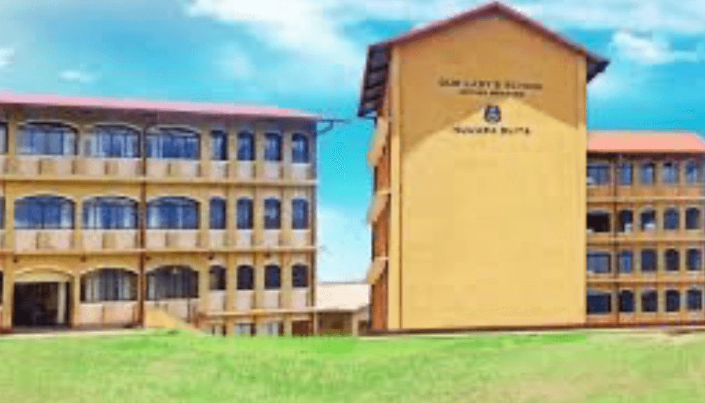 Our Lady's School gallery 1