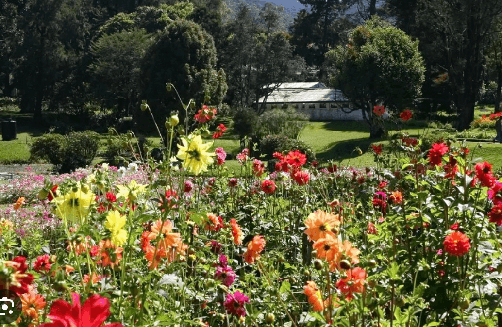 Hakgala Gardens