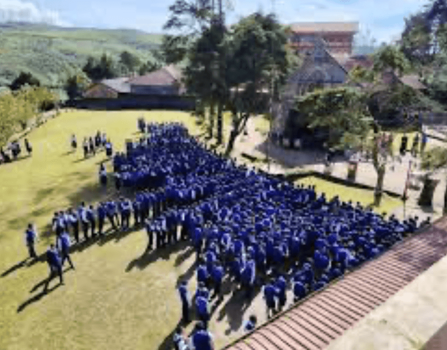 Our Lady's School gallery 3