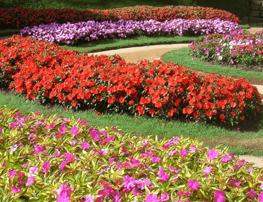 Hakgala Gardens gallery 1