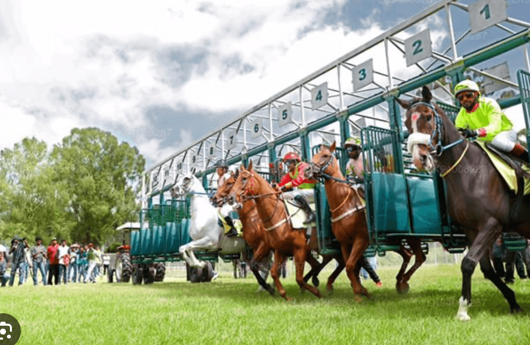 Horse Race