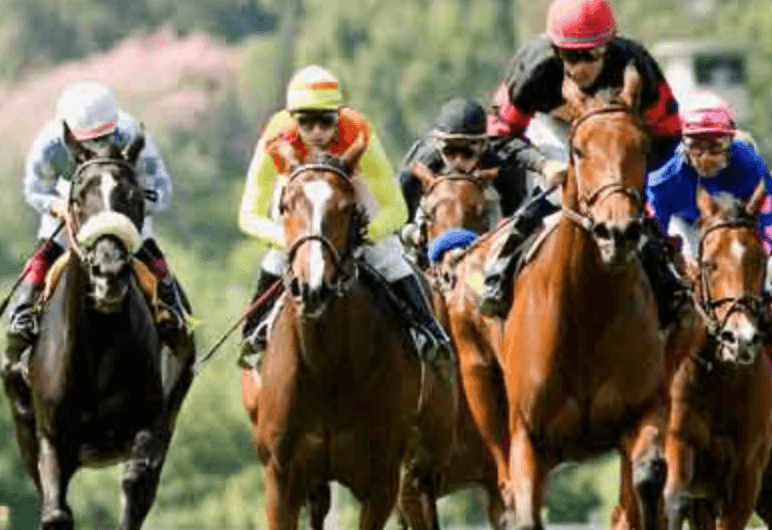 Horse Race Day 2