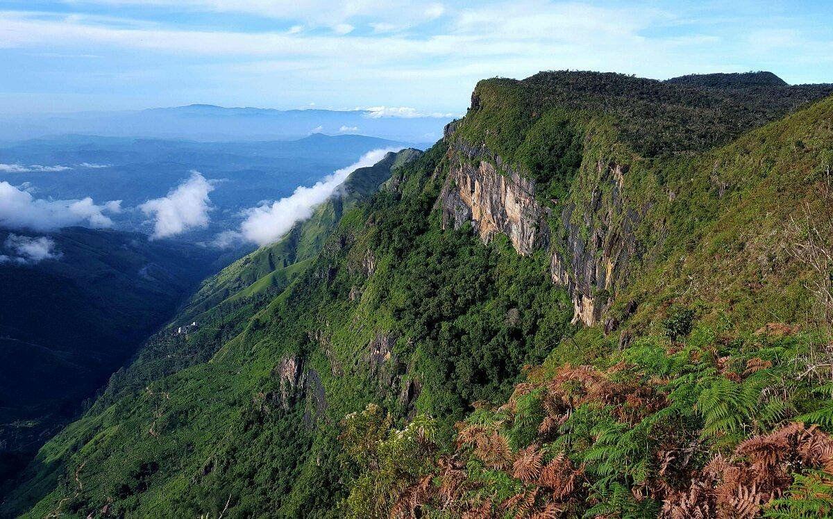 Horton Plains & World's End Trek gallery 1