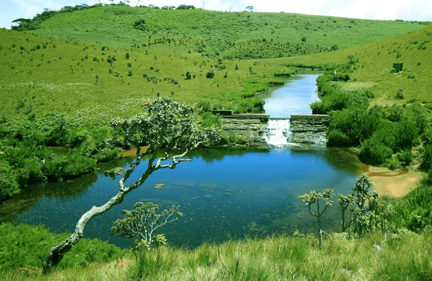 Horton Plains & World's End Trek gallery 2