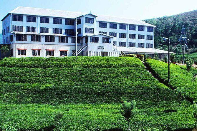 Tea Factory Tour & Tasting gallery 1