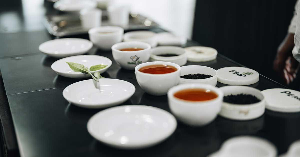 Tea Factory Tour & Tasting gallery 0