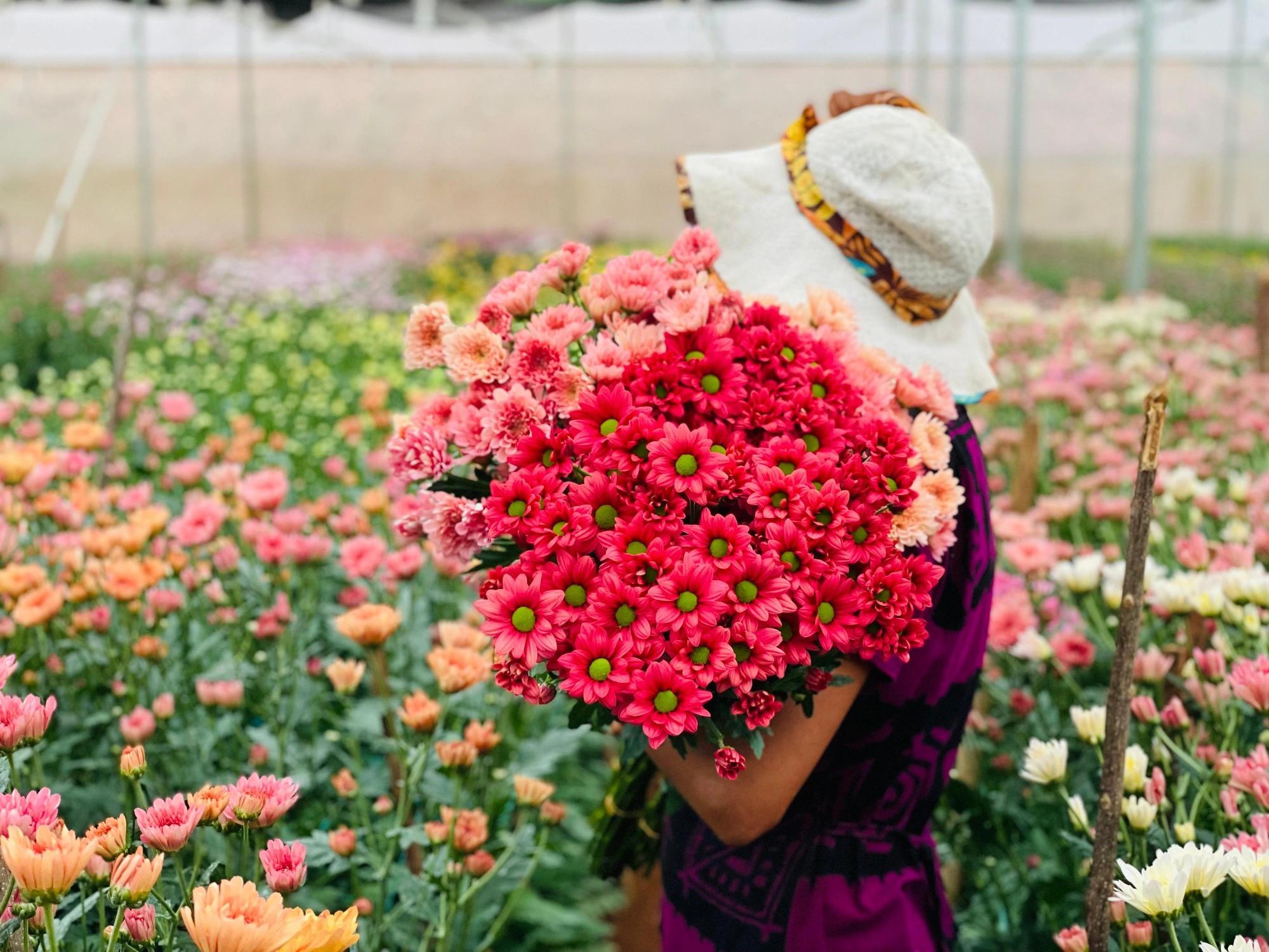 Flower Garden Competition gallery 1