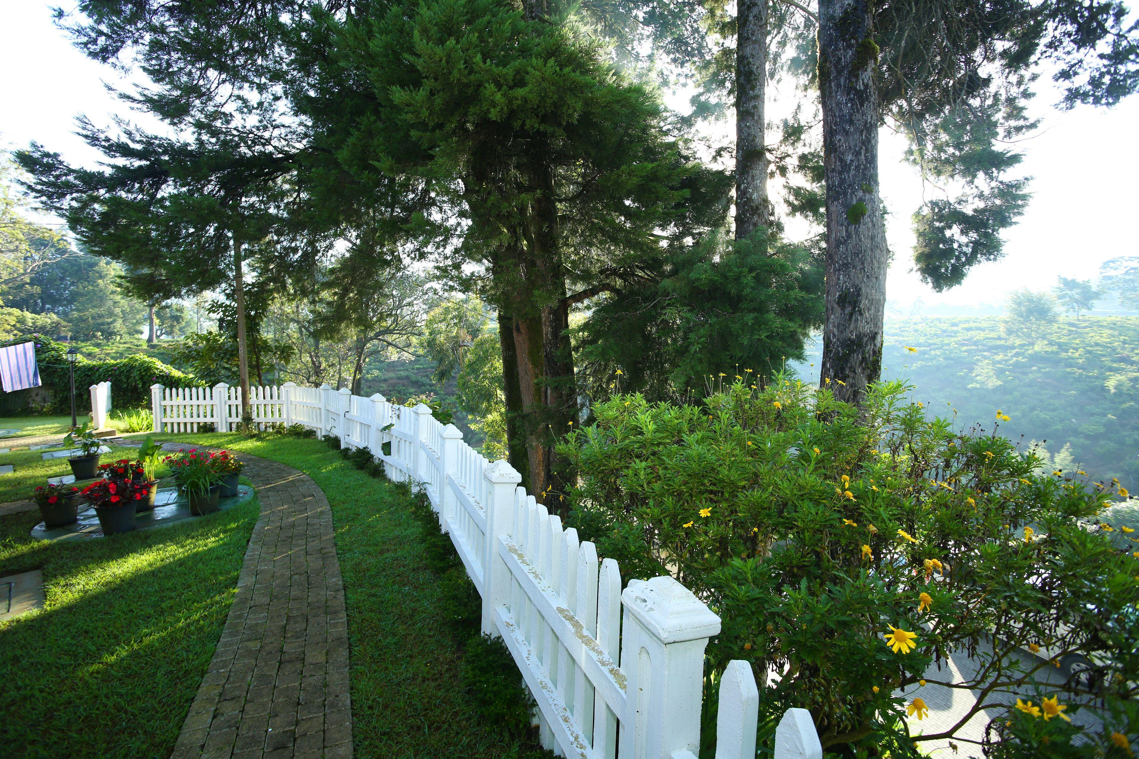 The Firs Nuwara Eliya gallery 2