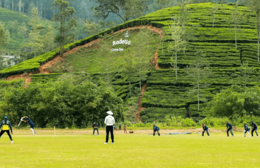 Cricket Tournament “Baker's Cup” (Old Xaverians vs Paynters) gallery 2