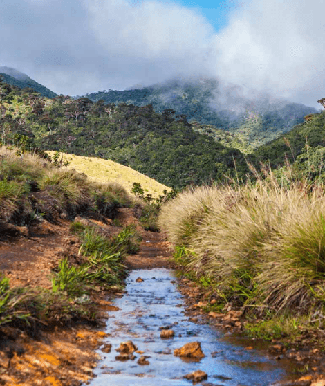 Horton Plains & World's End Trek gallery 3